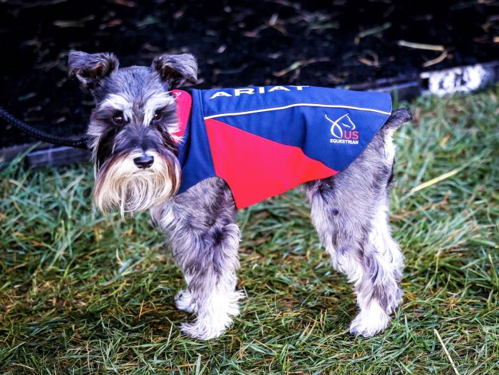 Ariat Softshell Dog Jacket