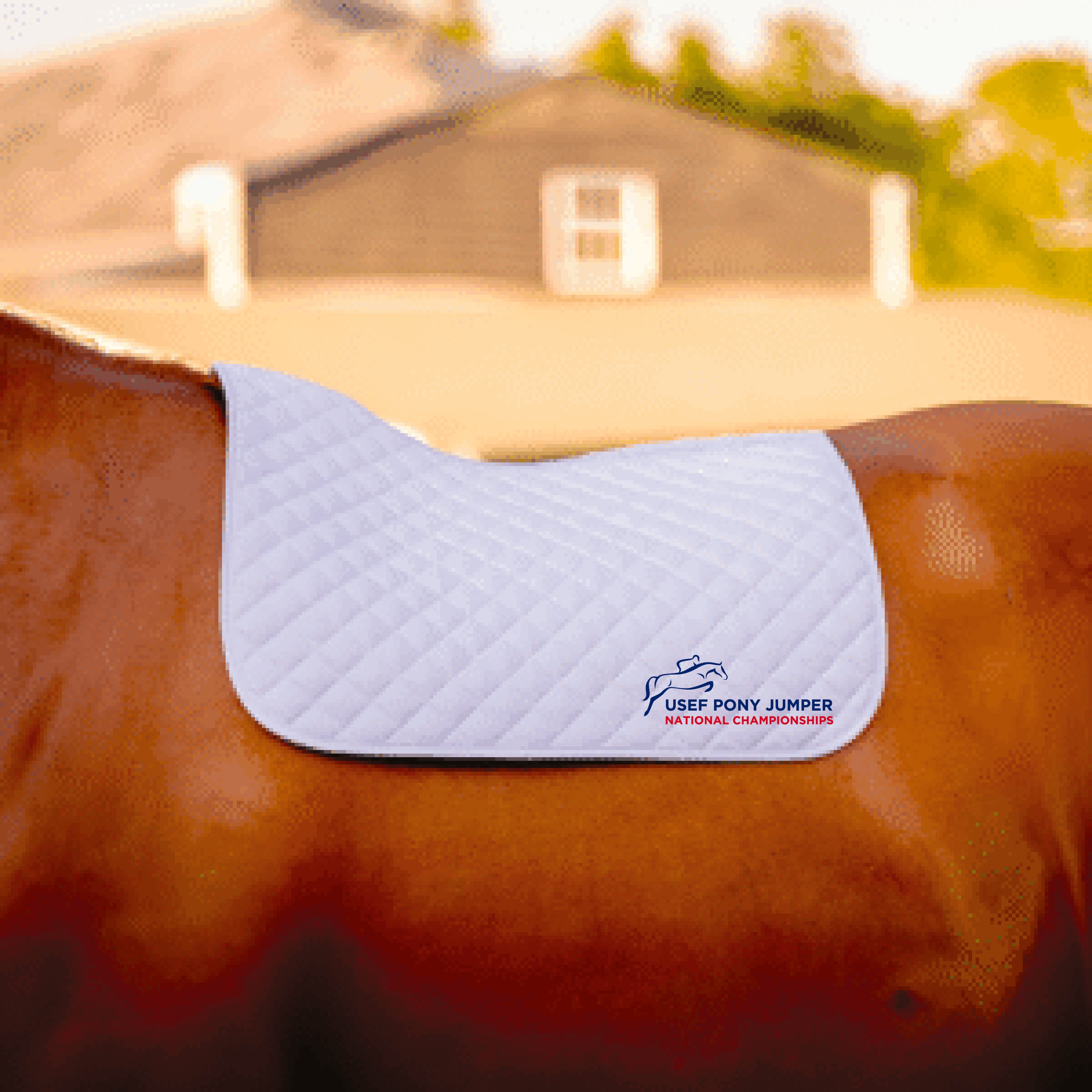 Wilkers Pony Jumper Baby Pads