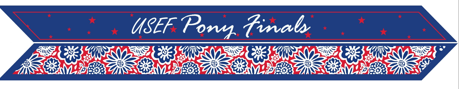Pony Finals Skinny Scarf
