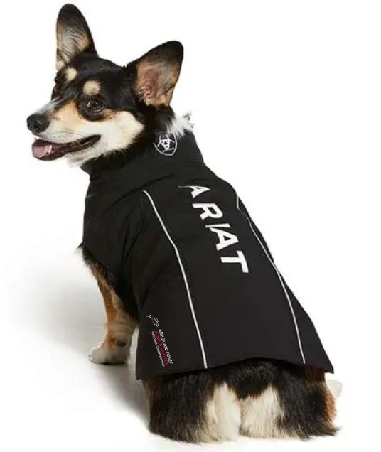 Junior Hunter Dog Softshell