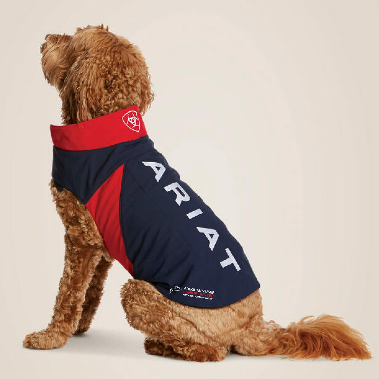 Junior Hunter Dog Softshell