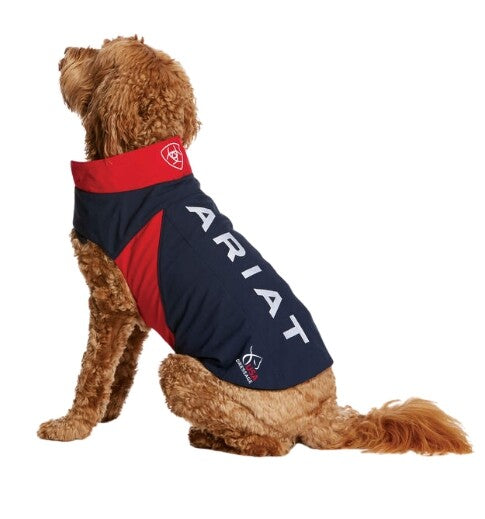 USA Dressage Dog Softshell